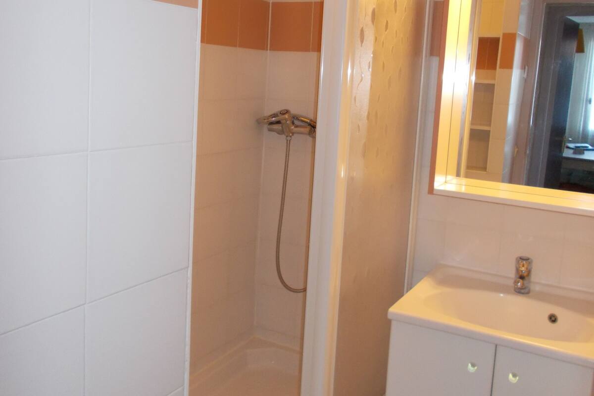 A bathroom with a shower, a sink, and a mirror.