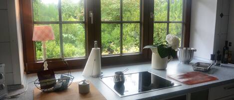 Leilighet – comfort, tilgjengelighetstilpasset, hageutsikt | Eget kjøkken | Kjøleskap, ovn, kokeplater og espressomaskin