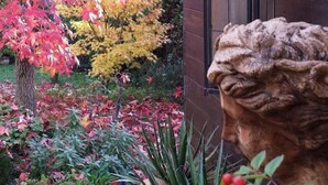 Un jardín con una estatua de piedra, un farol y diversas plantas.