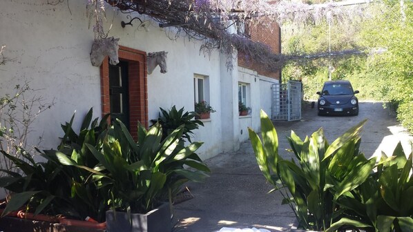 A white building with a horse head decoration, a car parked outside, and potted plants in the foreground.