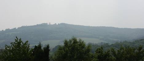 Vista de una colina con árboles y un edificio en primer plano.