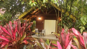 Ảnh chưa phân loại, 2 trong số 49 ảnh, nút