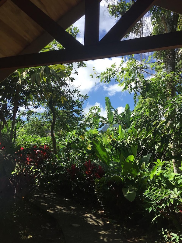Garden view