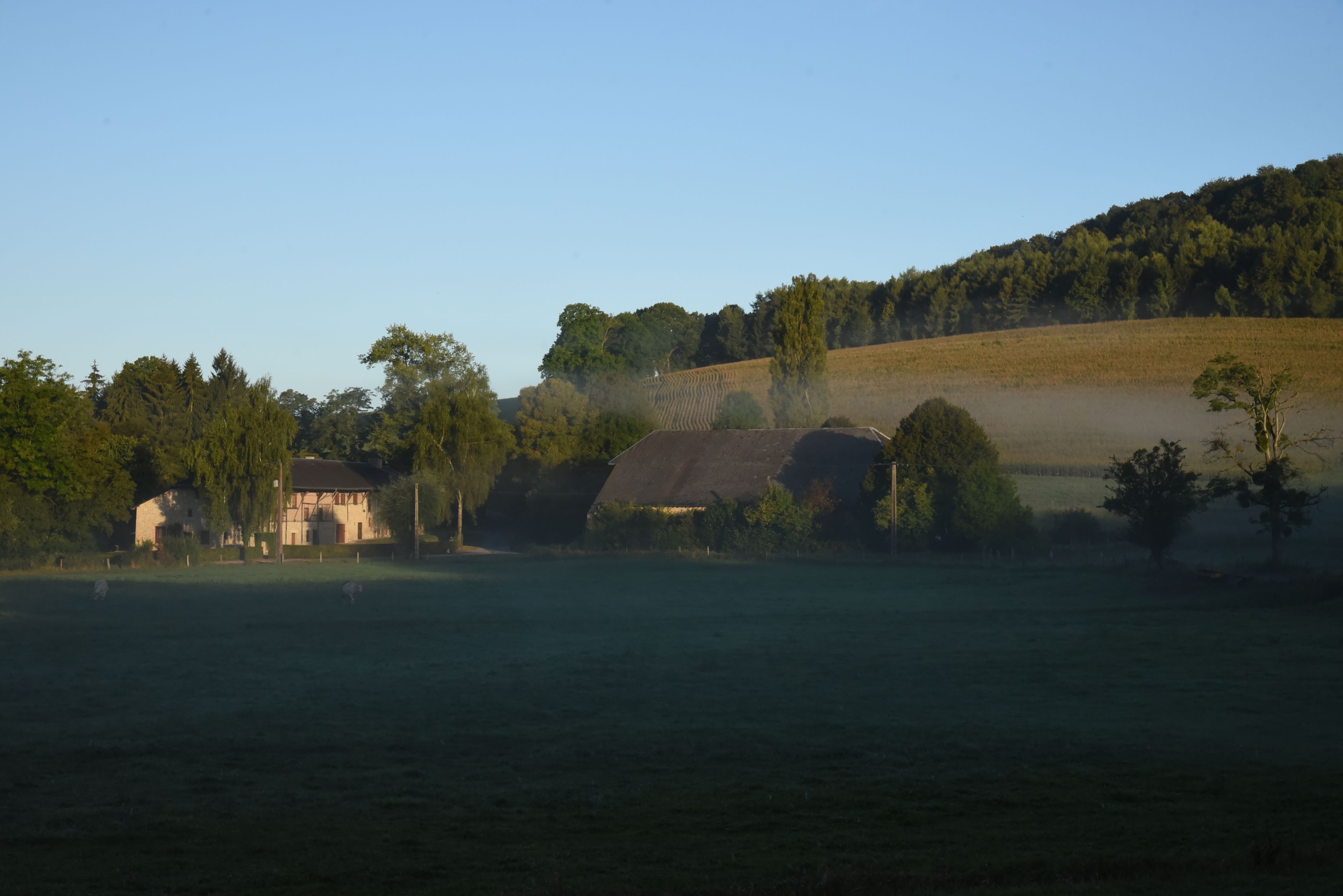 A rural landscape with a house, fields, and trees.