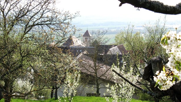A rural landscape with a traditional house featuring a steep roof and a tower, surrounded by blooming trees and a grassy field. - Hotel Restaurant Kaiser (Herrenberg)