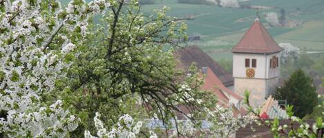 Paisatge rural amb un edifici petit semblant a torre, envoltat d'arbres en flor i camps.