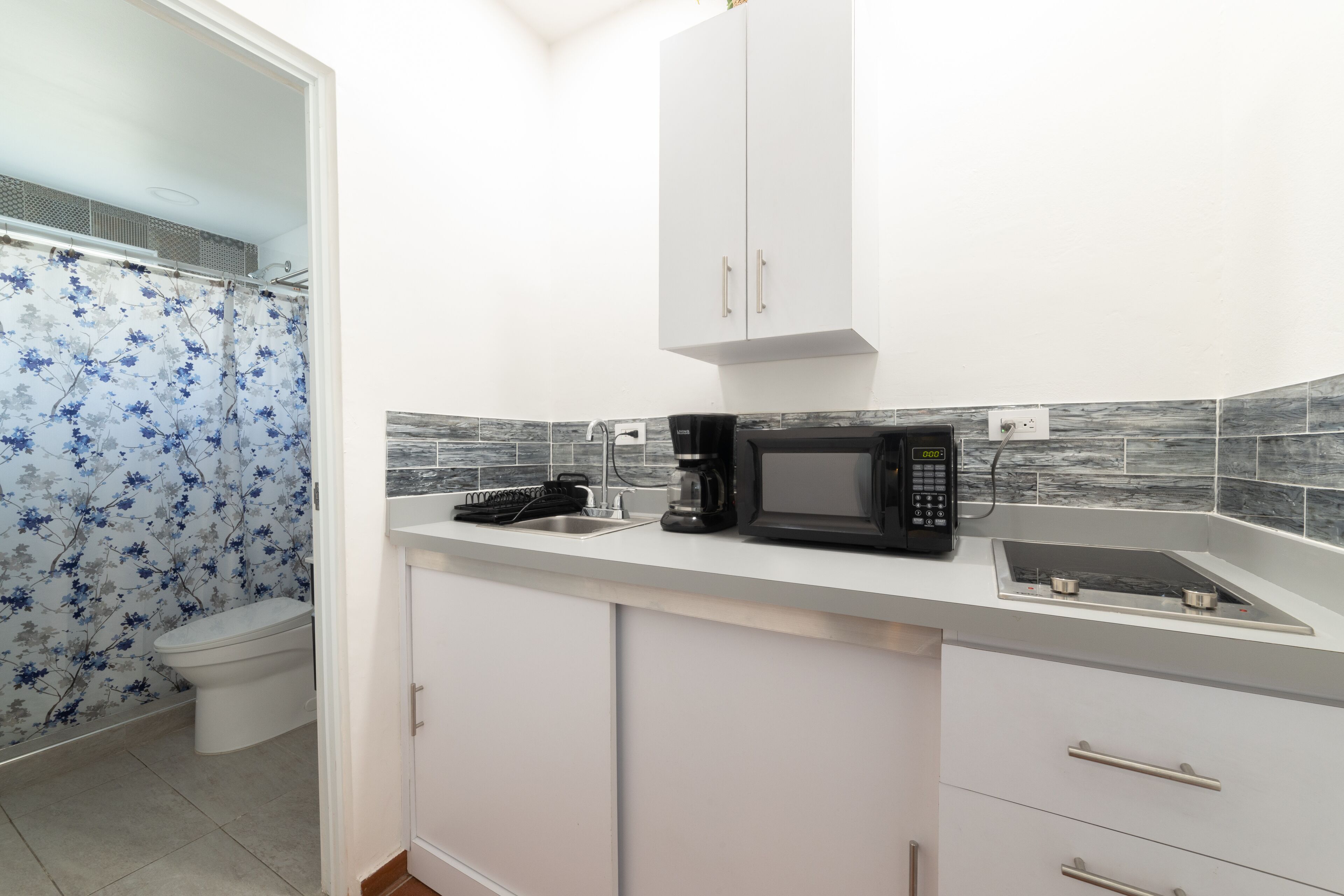 deluxe room, 1 queen bed, non smoking | private kitchen | fridge, microwave, electric kettle