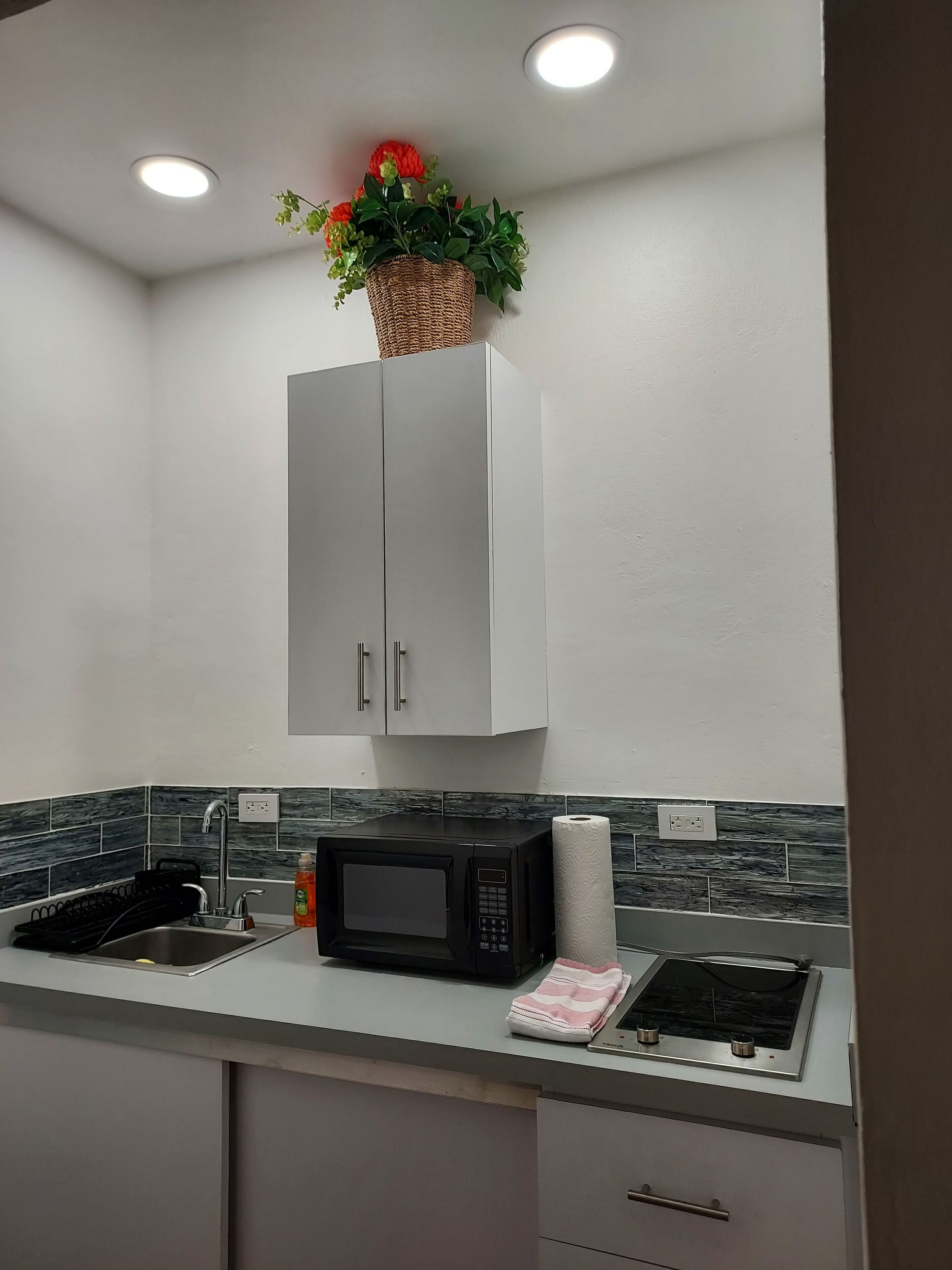 deluxe room, 1 queen bed, non smoking | private kitchen | fridge, microwave, electric kettle