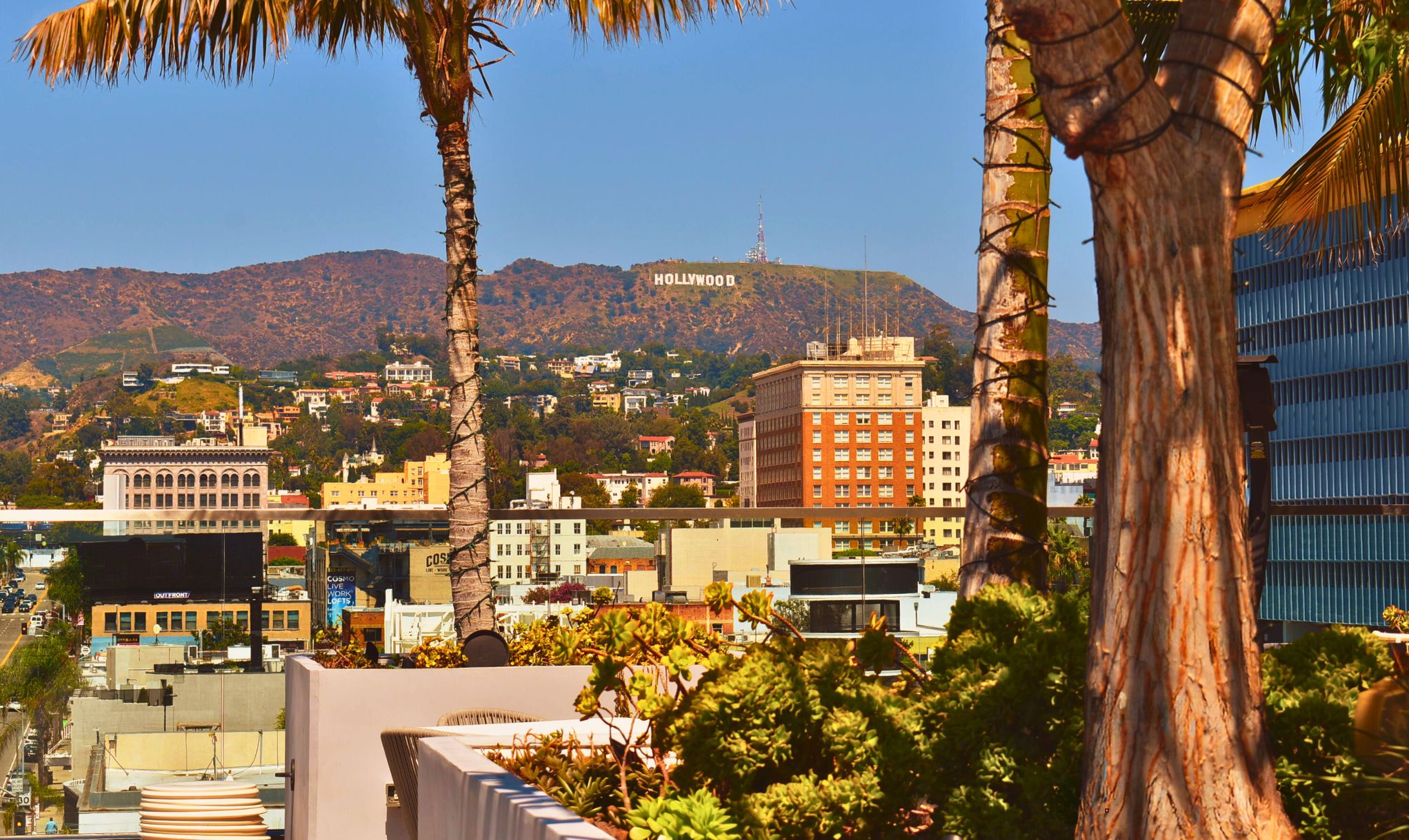 A cityscape with the Hollywood sign in the background, palm trees, and various buildings.