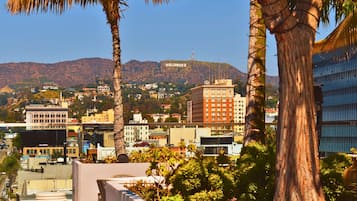 A cityscape with the Hollywood sign in the background, palm trees, and various buildings.