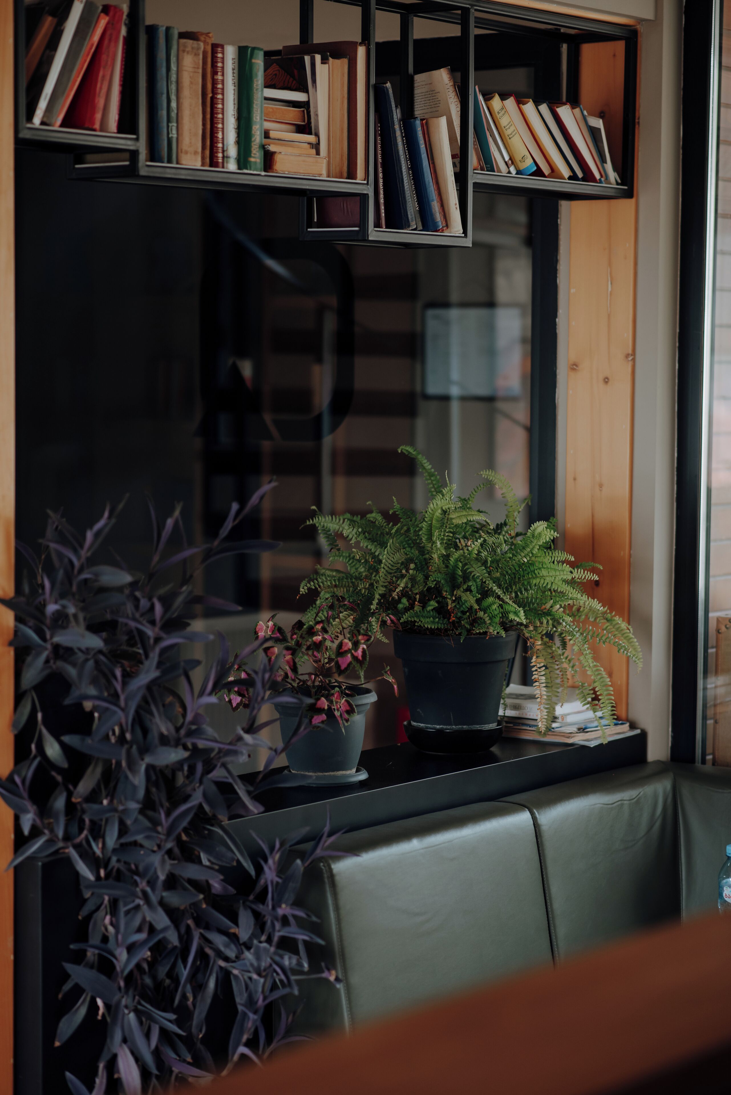 A bookshelf filled with books, a potted fern, and a window with a view of a building.
