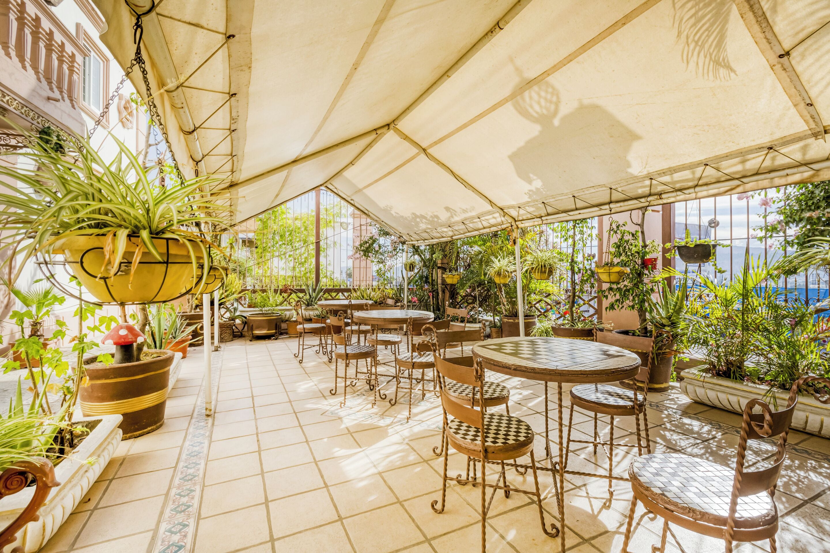 Foto - Capital O Colina Dorada