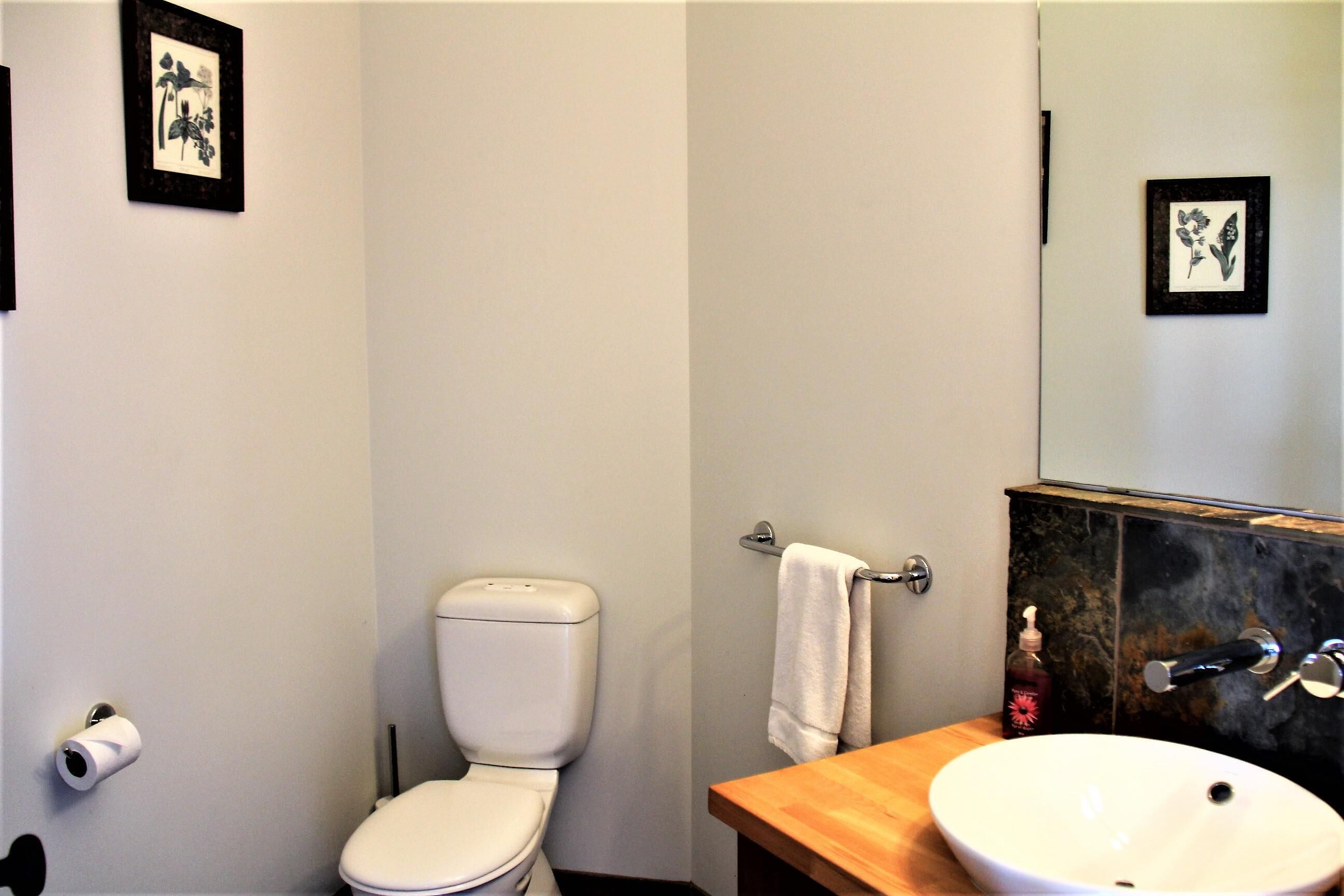 Een badkamer met toilet, wastafel en handdoekhouder.