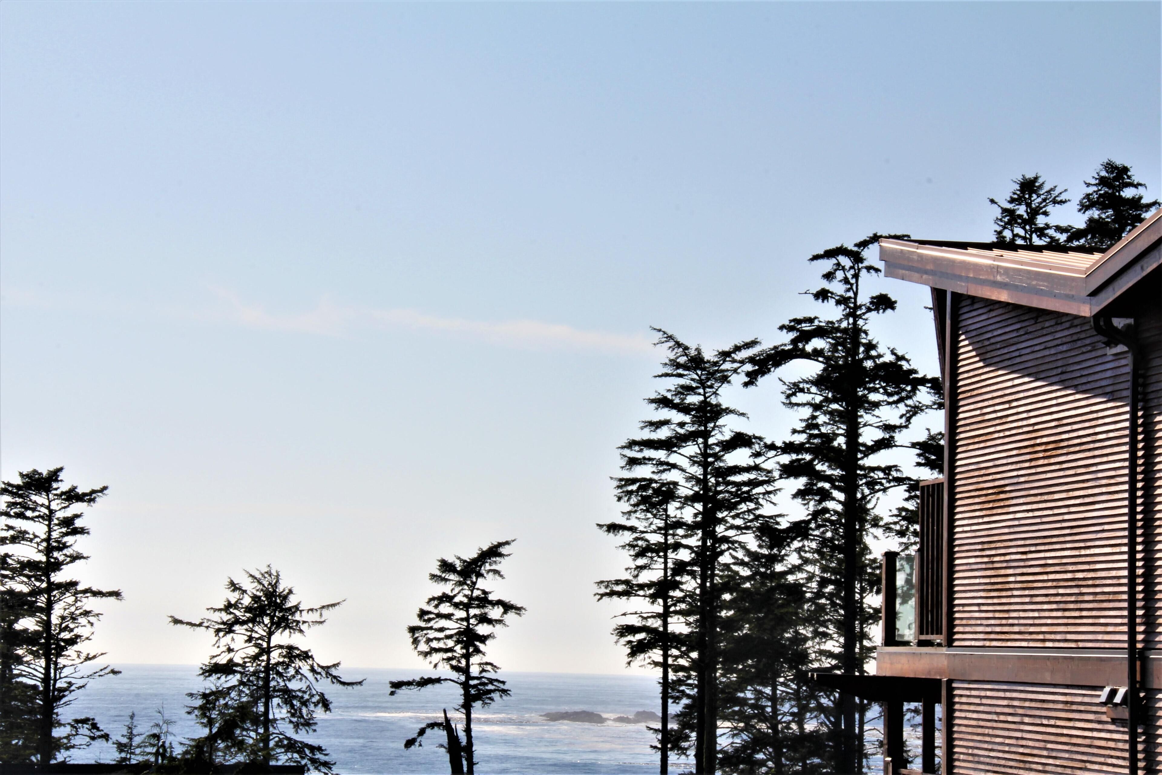 Un bâtiment moderne doté d’un toit en pente et d’un revêtement en bois, entouré de grands arbres à feuilles persistantes et offrant une vue sur une étendue d’eau.