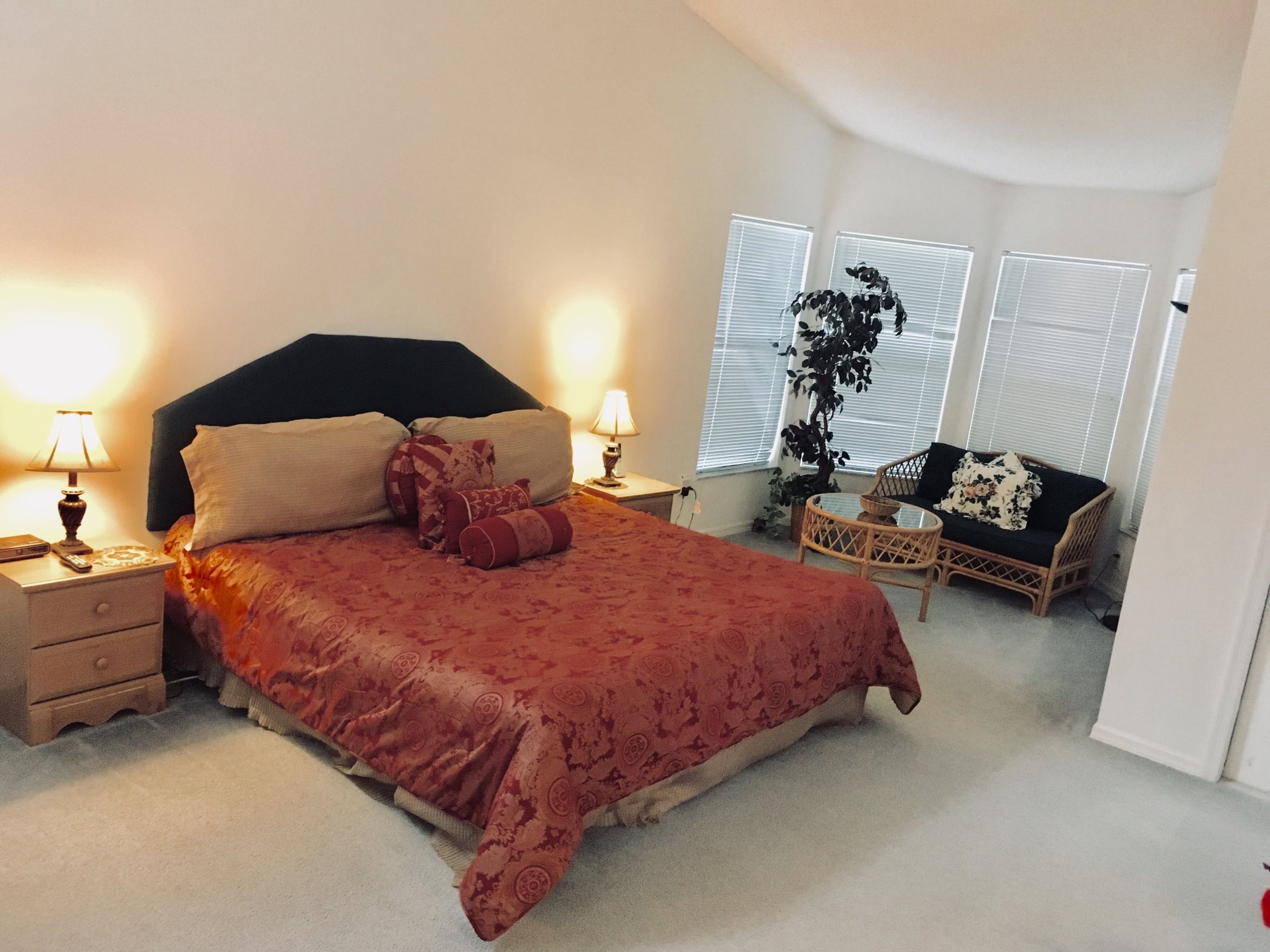 Une chambre à coucher avec un grand lit, deux tables de chevet, une petite table, une chaise et une plante en pot.