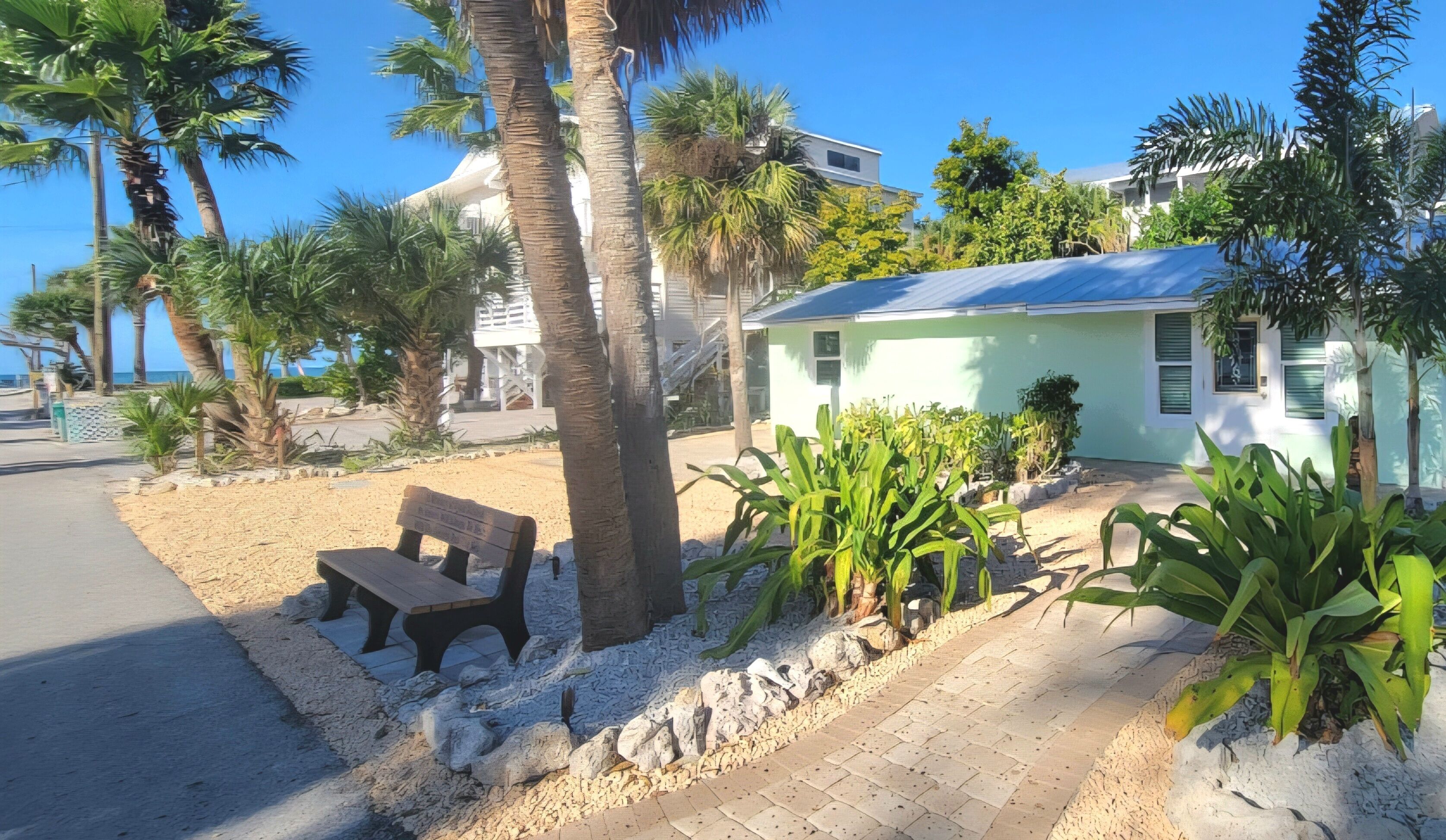 A beachfront property with a small building, a bench, and palm trees.