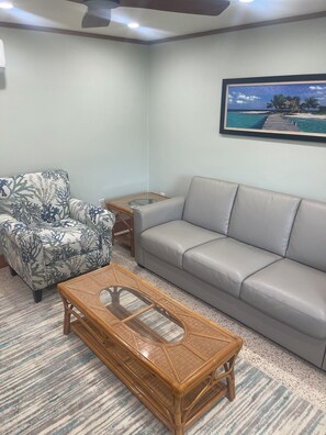 Smart TV, DVD player, books, video library - Charming Beach Cottage-Your Old Florida Getaway Awaits! (Manasota Key)