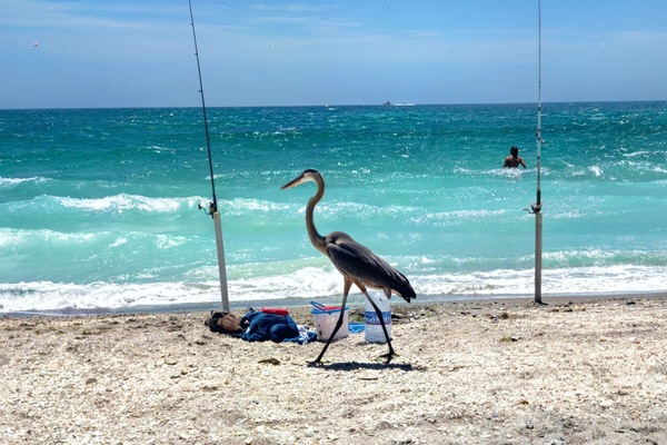 Sulla spiaggia, lettini da mare, teli da spiaggia