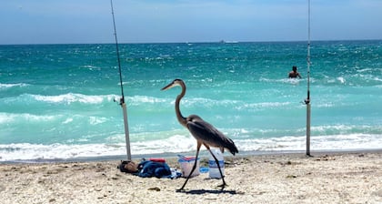 VAIN 60 askelta uimarannan yksityistämiseen! Manasota Key Beach Cottage YKSITYISKOTI!