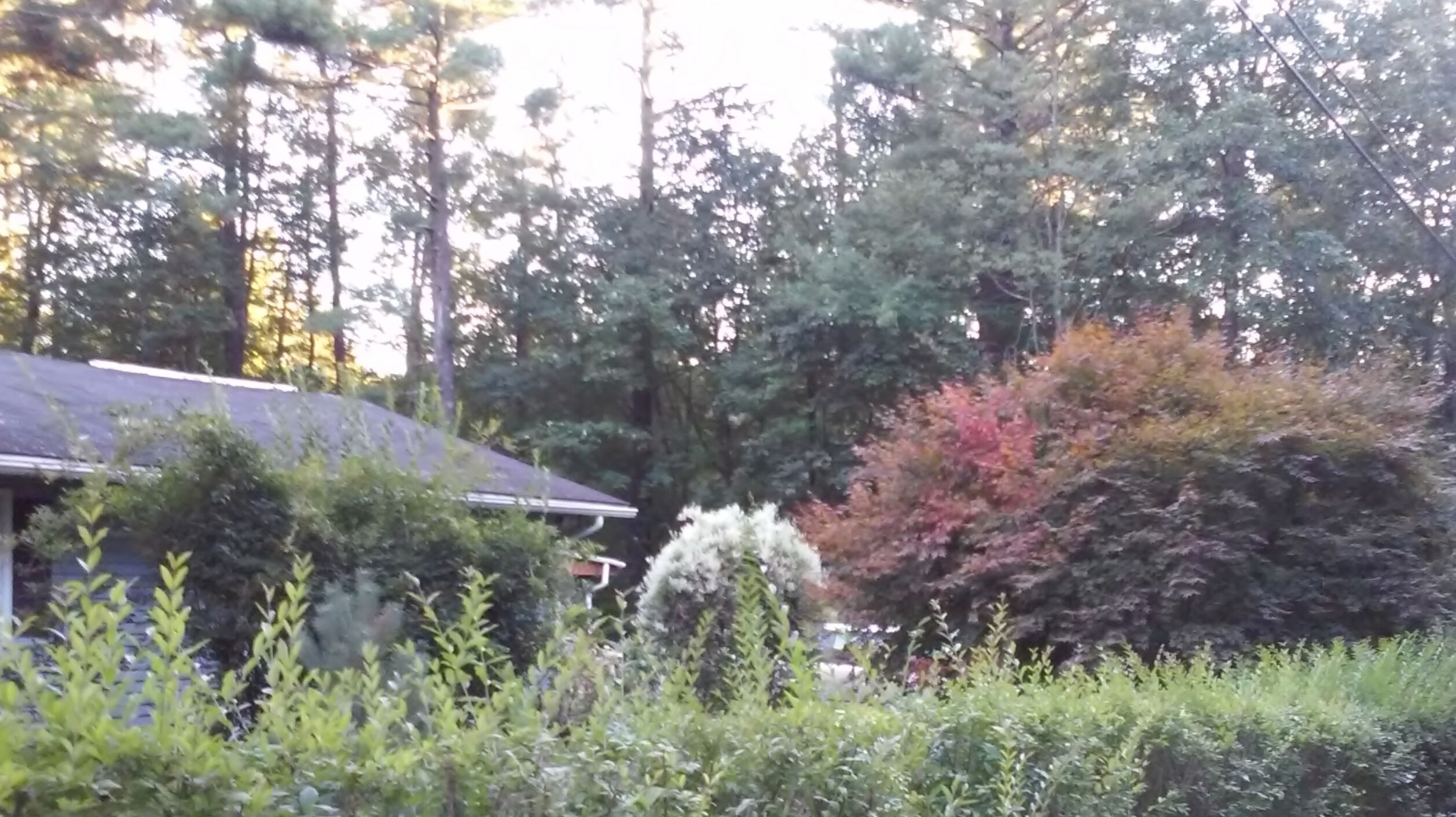 Catskill retreat, pool, large yard