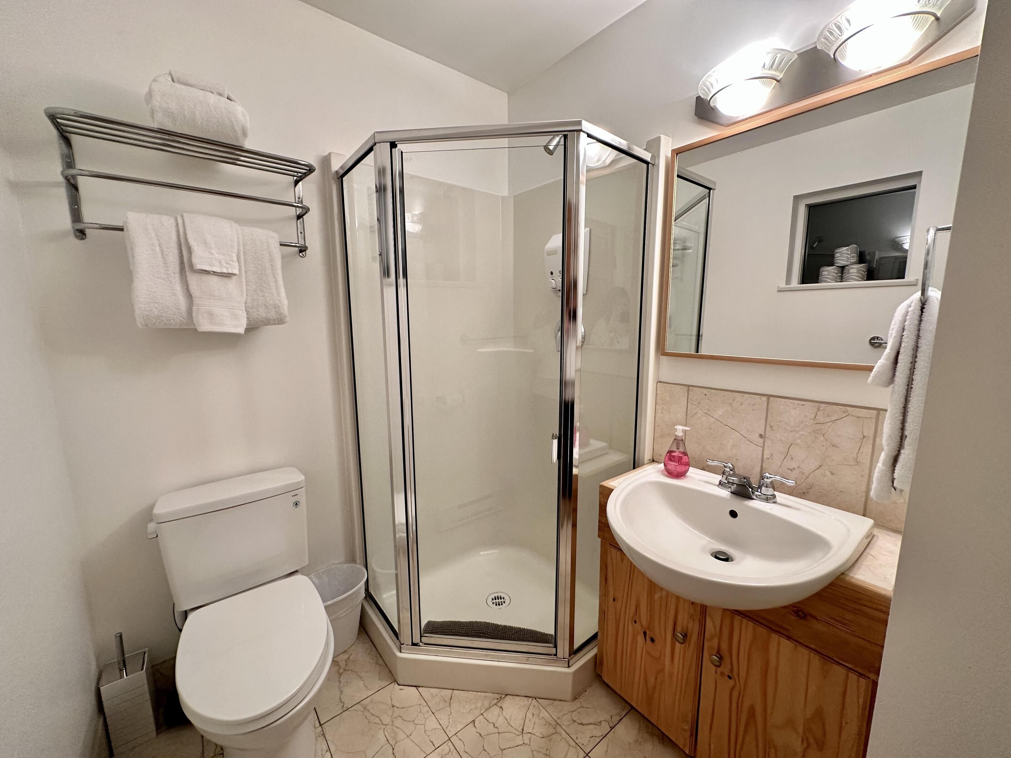 A modern bathroom with a glass-enclosed shower, a toilet, a sink with a mirror above, and a towel rack.