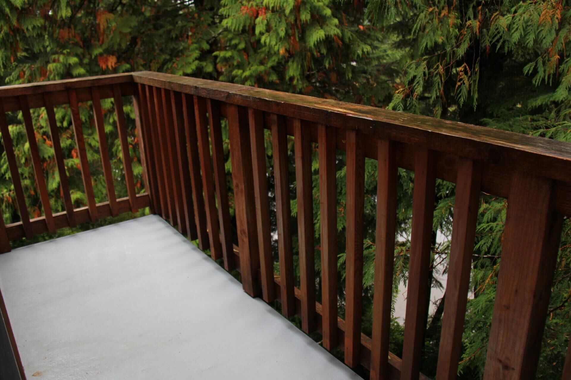 Une terrasse en bois recouverte d’une peinture blanche, entourée d’un feuillage verdoyant et luxuriant.