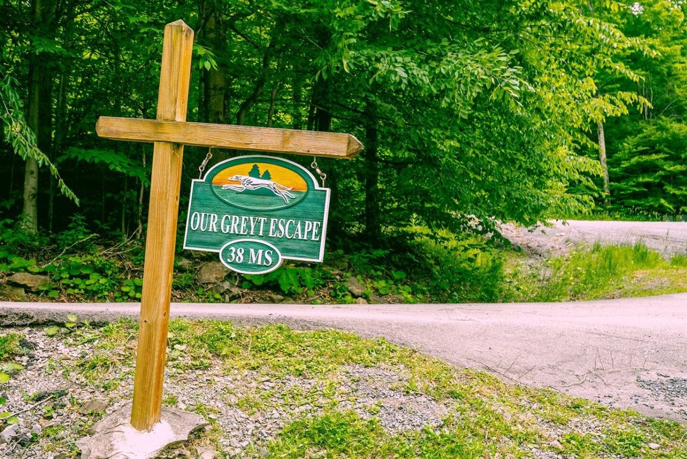 A wooden signpost with a green and yellow sign that reads 'OUR GREYT ESCAPE 38 MS'.