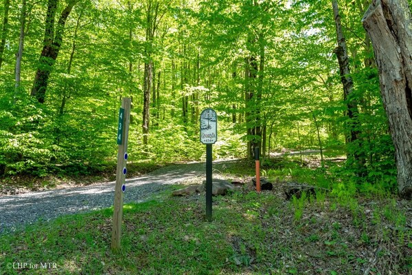 Property grounds - Gnarnia - 434 Cabin Mountain Road

Gnarnia - Air Conditioning, Lake Access, Fire Pit, Hot Tub (Davis)