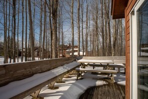 Un pontile in legno con panchine e tavoli da picnic, circondato da terreno innevato e alberi spogli.