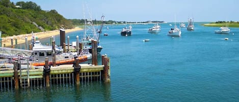 Marina
