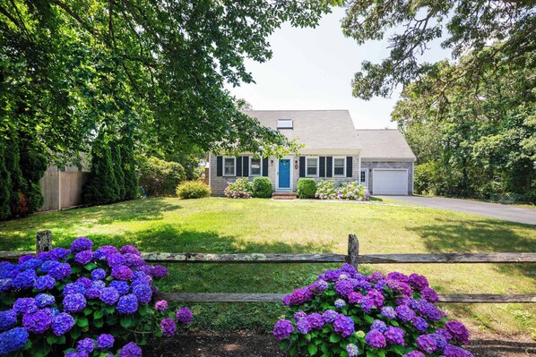 Exterior - Great Location Outdoor Space Dog Friendly (Chatham)