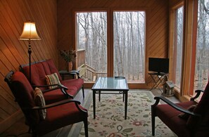 Télévision, cheminée, lecteur de DVD