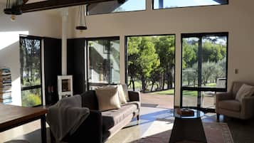 Televisión, chimenea y libros