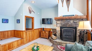 Televisión, chimenea, reproductor de DVD y estéreo