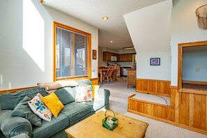 TV, fireplace, DVD player, stereo - Brookside - 162 Northpoint Way<br><br>Brookside - Hot Tub, Pet Friendly, Short Drive to Two Ski Resorts & Two State Parks (Davis)