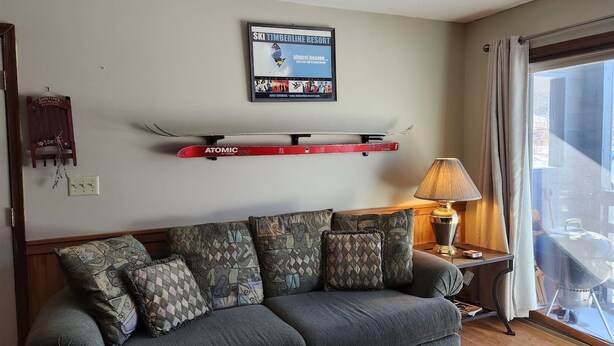 TV, fireplace, DVD player, stereo - Slopeside Condo D102 (Davis)