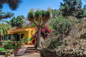 Exterior - Finca in the north on Tenerife / Finca in the north (Icod de los Vinos)