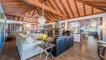 Smart TV, fireplace, books, music library