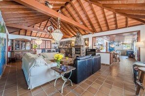 Smart TV, fireplace, books, music library