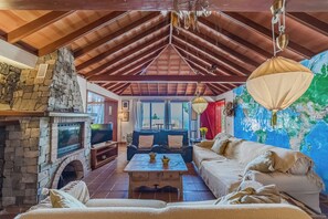 TV connectée, cheminée, livres, médiathèque