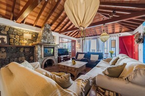 Smart TV, fireplace, books, music library