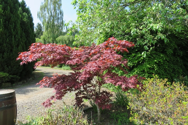 Terrein van de accommodatie