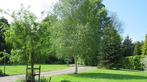 A well-maintained garden with a gravel path, a wooden bench, and a variety of plants and trees.