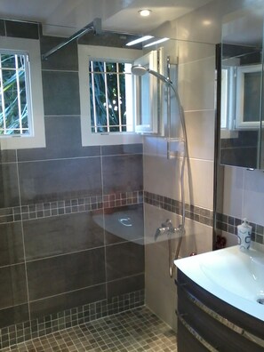 Shower, hair dryer, soap, toilet paper