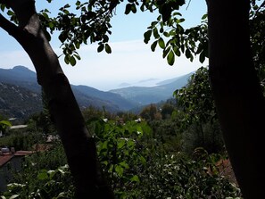 Vista desde la propiedad