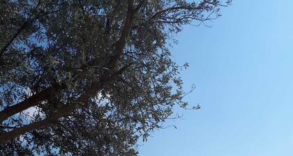 Romantic luxury "honeymoon" hideaway in the hills above Kalkan in a rural idyll