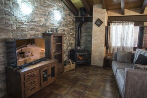 TV, fireplace, DVD player, books