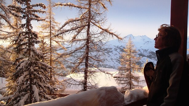 A snowy mountain landscape with trees and a person standing by a railing.