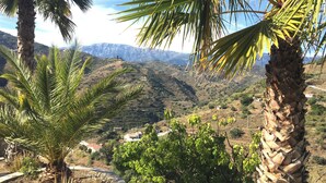 A mountainous landscape with palm trees and a few buildings in the valley.