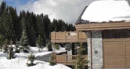 Ski on your feet. On Bellecôte, height of the Alpine Garden. Couffe 1850